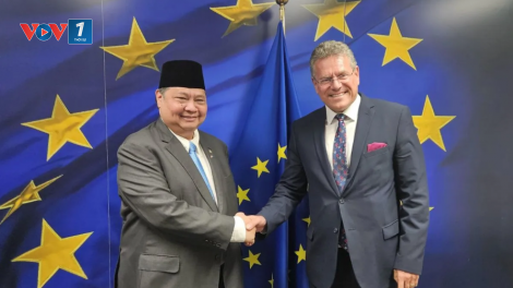 Xuất khẩu của Indonesia sang EU dự kiến tăng lên hơn 50%