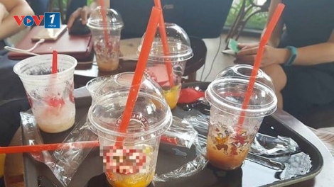 Ngày môi trường Thế giới 05/06/2025: “Chống ô nhiễm nhựa”