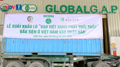 Gạo giảm phát thải vào thị trường quốc tế, khẳng định vị thế gạo Việt Nam. (24/06/2025)