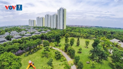 Phát triển không gian xanh trong đô thị (19/06/2025)