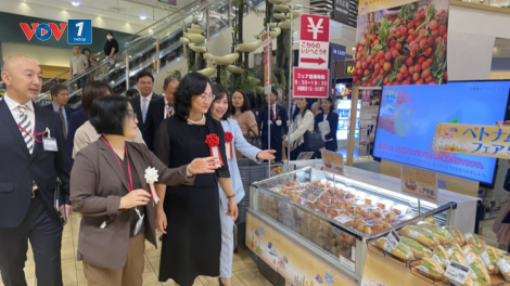 Khai mạc Tuần lễ hàng Việt Nam tại hệ thống AEON Nhật Bản và các nước thuộc khu vực châu Á, kết nối