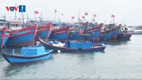 Ảnh hưởng bão số 1: Hơn 100 khách du lịch kẹt trên đảo Lý Sơn