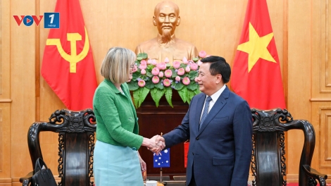 Thúc đẩy trao đổi chia sẻ tri thức, đào tạo nguồn nhân lực giữa Việt Nam với Australia, Hàn Quốc