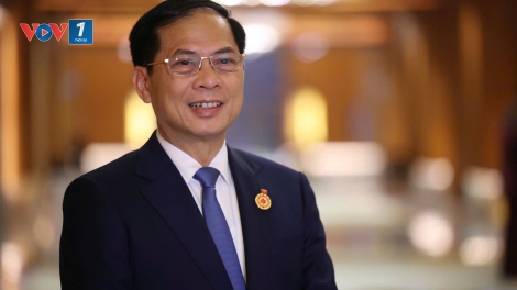 Phó Thủ tướng: Chuyến công tác của Thủ tướng đã thành công rất tốt đẹp và đạt kết quả thực chất