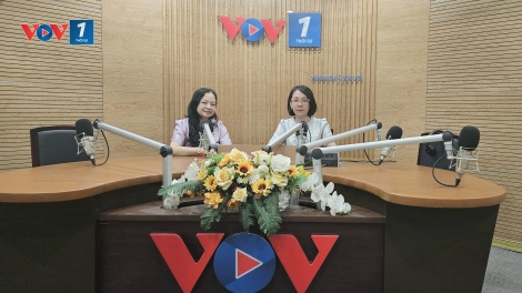 30 Việt Nam năm gia nhập ASEAN: Hành trình từ khởi đầu đến kiến tạo tương lai khu vực!