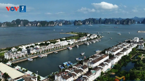 Các DN Cảng Quảng Ninh, Hải Phòng, Thái Bình tạm dừng hoạt động làm hàng trước 19 giờ ngày 20/7/2025