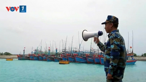 Các cơ quan, đơn vị của chủng Hải quân yêu cầu các chủ động phòng chống bão Wipha