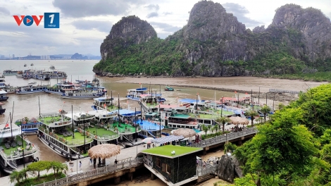6 tháng đầu năm, Quảng Ninh đón hơn 12 triệu lượt du khách