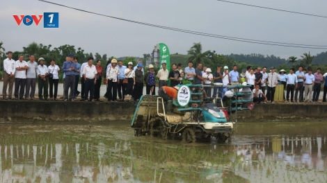 Hải Phòng: Cánh đồng công nghệ giải pháp đột phá trong sản xuất lúa
