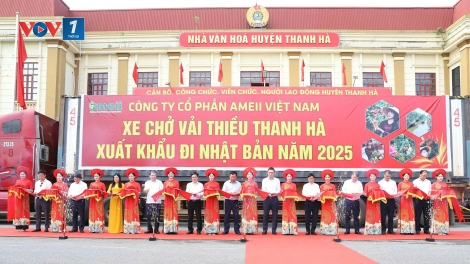 Xuất khẩu vải thiều Hải Dương: Hướng đến chất lượng và chuẩn quốc tế (5/6/2025)