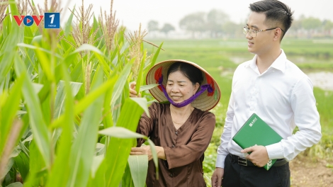 Bảo hiểm nông nghiệp – "tấm khiên" bảo vệ nhà nông trước thiên tai (28/07/2025)