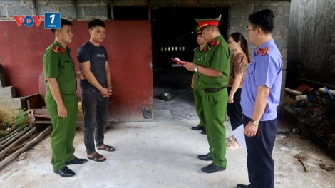 Lạng Sơn: Khởi tố 2 đối tượng giết mổ, tiêu thụ thịt lợn nhiễm bệnh