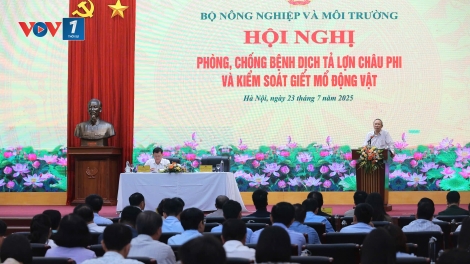 Xử lý nhanh các ổ dịch tả lợn Châu Phi, giám sát chặt cơ sở giết mổ động vật