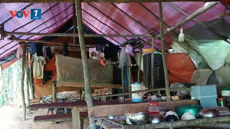 “Vàng tặc” ngang nhiên dựng lán giữa rừng phòng hộ ở Quảng Trị