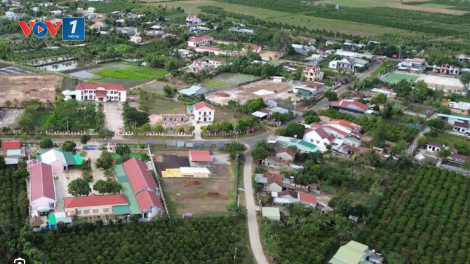 Theo dòng thời sự sáng 8/7/2025