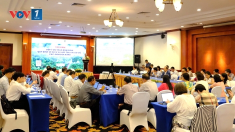 Dịch vụ hấp thụ và lưu giữ các bon của rừng: làm rõ quyền lợi chủ rừng và cơ chế thị trường các-bon