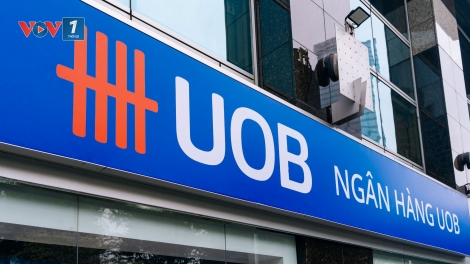 Ngân hàng UOB: GDP quý II của Việt Nam đạt 7,96%