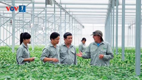 Hài hòa lợi ích trong chuỗi sản xuất nông nghiệp: chìa khóa phát triển bền vững (03/07/2025)