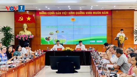 Giảm phát thải trong trồng trọt: Tư duy mới từ hội nghị tham vấn toàn quốc