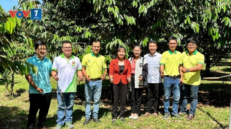 Kỹ sư bỏ lương ngàn đô, về quê 'số hóa' nông sản Việt