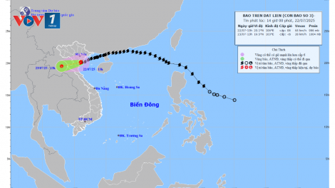 Bản tin 15h 22/7/2025