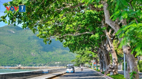Theo dòng thời sự chiều 5/7/2025
