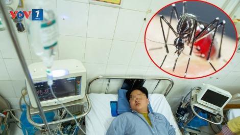 Theo dòng thời sự chiều 19/7/2025