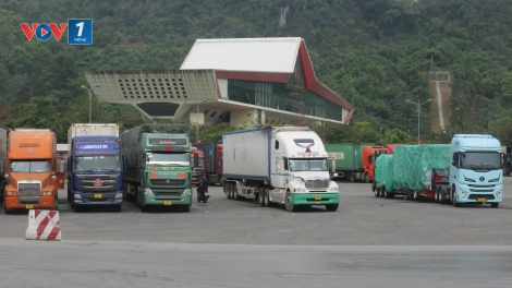 Lạng Sơn: Hoạt động xuất nhập khẩu diễn ra thông suốt, sôi động