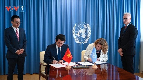Việt Nam thúc đẩy hợp tác với các cơ quan LHQ và thúc đẩy các sáng kiến đa phương tại Vienna