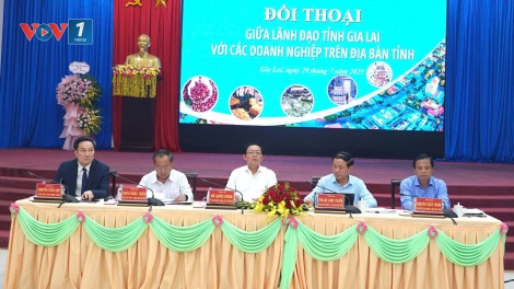 Gia Lai cam kết cải cách mạnh mẽ và hỗ trợ doanh nghiệp