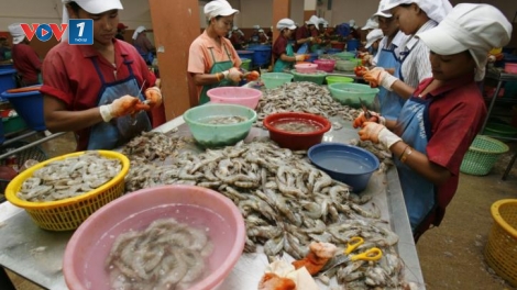 Thái Lan siết chặt quản lý lao động nước ngoài