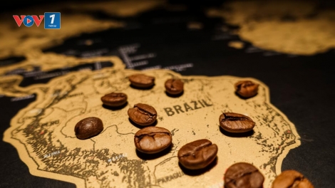 Cafe Brazil bứt phá