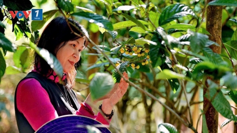 ThS Phạm Thị Lý - người theo đuổi các giải pháp khoa học cho nhà nông