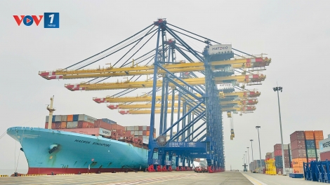 Thủ tướng Chính phủ chấp thuận xây dựng thêm 4 bến cảng container tại Lạch Huyện (Hải Phòng)