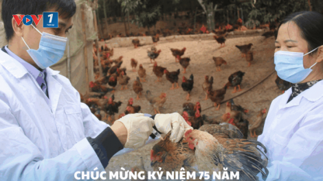 Thú y Việt Nam đóng góp quan trọng vào chuỗi giá trị nông nghiệp