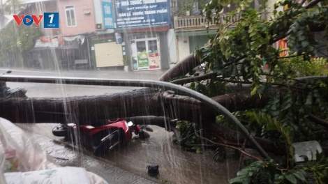Giông lốc, mưa đá gây nhiều thiệt hại tại Cao Bằng
