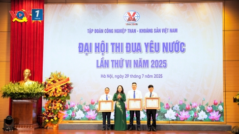 Phó Chủ tịch nước Võ Thị Ánh Xuân tham dự Đại hội Thi đua yêu nước Tập đoàn TKV