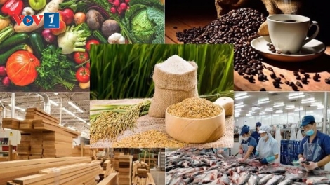 Tận dụng lợi thế, linh hoạt thị trường: nông nghiệp hướng đến kim ngạch xuất khẩu 65 tỷ đô la Mỹ