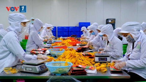 Chế biến sâu, tiêu chí xanh – điểm tựa nông sản phát triển bền vững (07/07/2025)