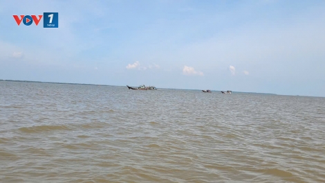 Tỉnh Đồng Tháp được quy hoạch 04 khu bến cảng ven sông, ven biển