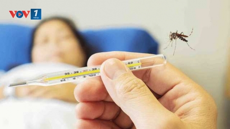 Sốt xuất huyết tăng 169%, TPHCM huy động toàn hệ thống y tế ứng phó