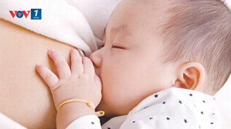 Đang diễn ra Tuần lễ Thế giới Nuôi con bằng sữa mẹ