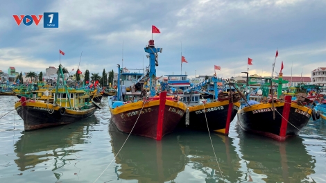 Bộ Y tế: Mỗi bệnh viện chuẩn bị 2 đội cấp cứu lưu động để ứng phó kịp thời với bão số 5