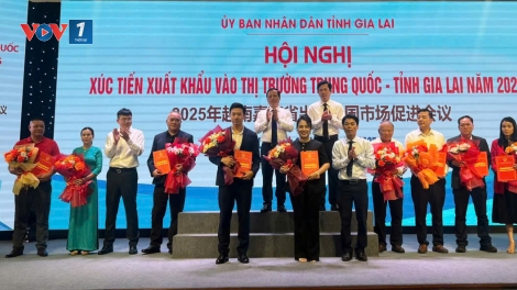 Gia Lai mở rộng hợp tác xuất khẩu nông sản sang Trung Quốc - Kết nối, lan tỏa giá trị Việt
