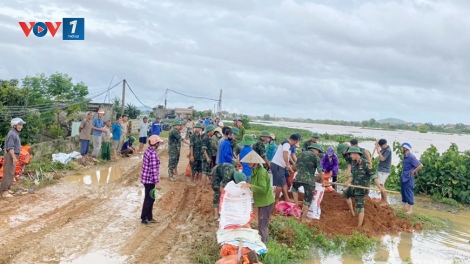 200 chiến sỹ gia cố đê sông Hoạt xã Hà Long (Thanh Hóa)