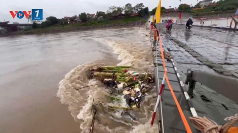 Cắt cầu phao Phong Châu, Phú Thọ