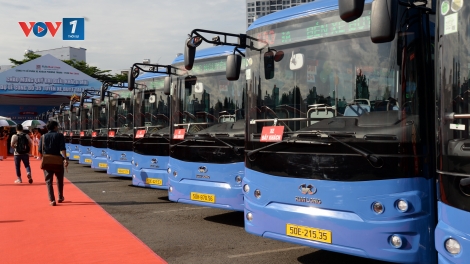Hành khách tại TP.HCM được miễn phí vé 75 tuyến xe buýt trong dịp Quốc khánh 2/9