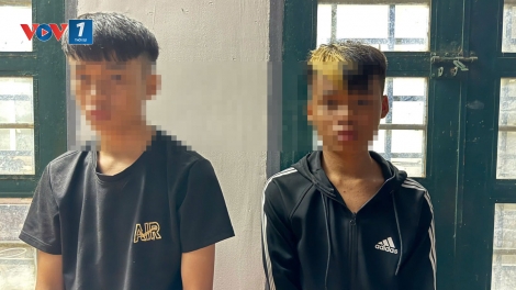Hai anh em ở Đồng Nai bẻ khóa cửa hàng lấy trộm 14 điện thoại