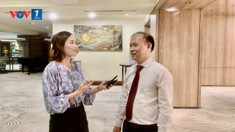 Tăng cường thể chế và nâng cao năng lực cho phát triển đô thị ở Việt Nam