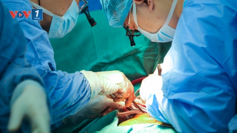 Lần đầu Việt Nam ghép thành công đồng thời tim- phổi cho người suy đa tạng